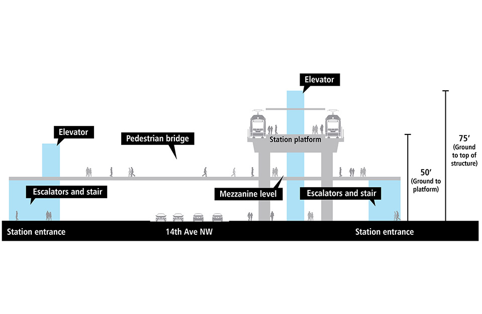 Plano con corte transversal de la plataforma de la estación elevada del tren ligero. Hay una vía y un tren en cada lado de la plataforma de la estación elevada. Las entradas de la estación se encuentran a ambos lados de 14th Avenue Northwest y cuentan con elevadores, escaleras eléctricas y escaleras convencionales que conducen al puente peatonal que cruza 14th Avenue Northwest. Está a una altura de aproximadamente 50 pies desde el suelo hasta la plataforma. La estructura del elevador se extiende por encima de la plataforma y está a una altura aproximada de 80 pies desde el suelo hasta la parte superior de la estructura.